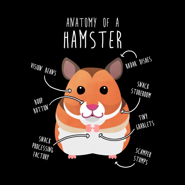 Syrian Hamster Anatomy by Psitta