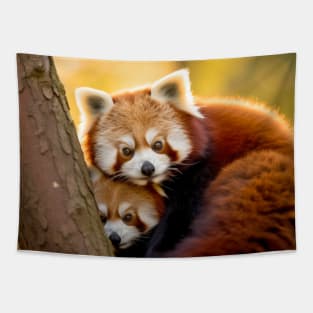 Red Panda Animal Wild Beauty Freedom Wilderness Enchanting Tapestry