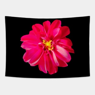 red flower, flowers, blooms, petal, nature Tapestry