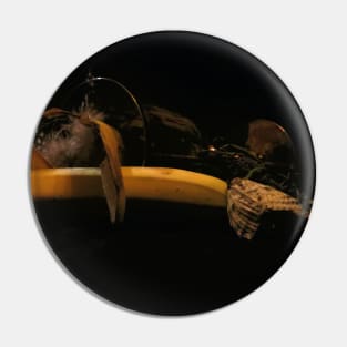 Banana, Thistle & Feathers - Baroque Inspired Dark Still Life Photo Pin