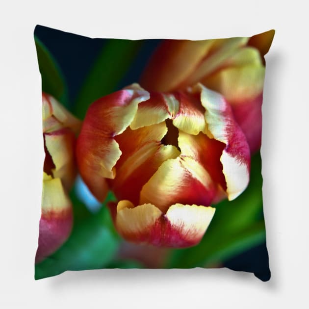 Eternal Sound of Spring Pillow by SILVA_CAPITANA