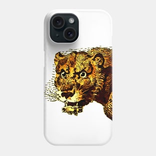 Comic and african lioness Phone Case