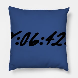28:06:42:12 Pillow