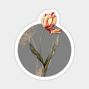 Vintage Didier's Tulip Botanical Illustration on Circle Magnet