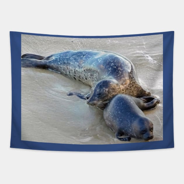 Snuggling seals Tapestry by FriendlyComputerHelp