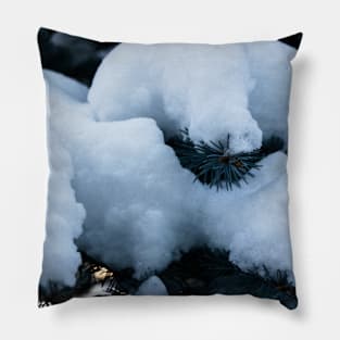 Fresh snow on a pine tree branch Pillow