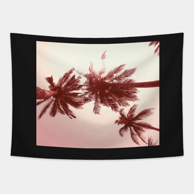 Palmtree pink Tapestry by ColorsHappiness