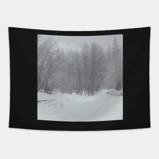 Snow Storm Tapestry