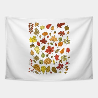 Autumn leaves, nuts and berries Tapestry