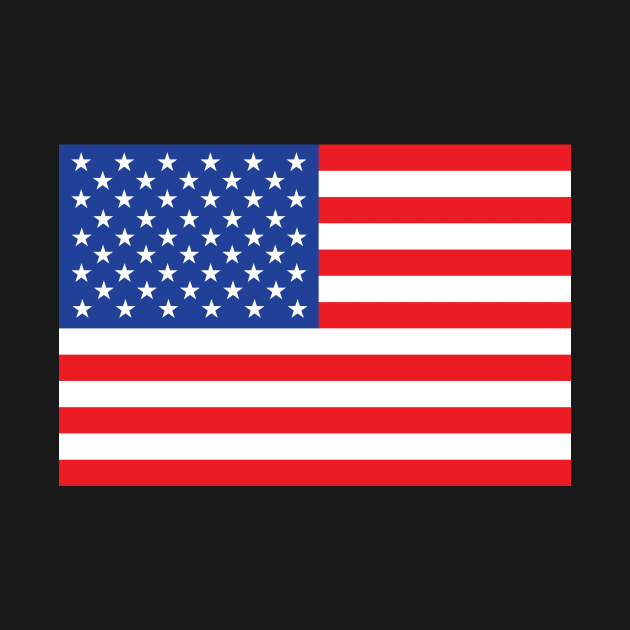 USA flag by designseventy