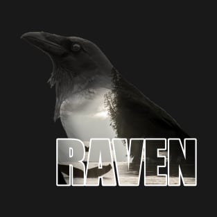 The Raven T-Shirt