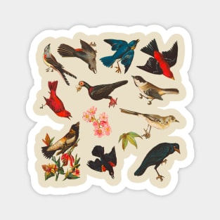 Vintage Birds Pattern Magnet