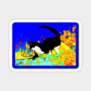 CUTE Tuxedo Cat living a psychedelic dream  Copyright TeAnne Magnet