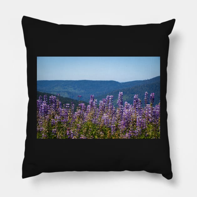 Lupine flowers and mountains Pillow by blossomcophoto