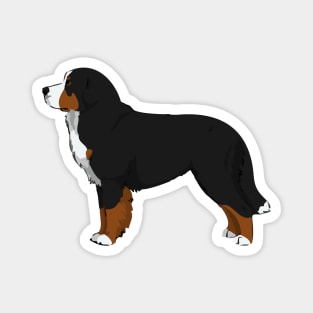 Cute Bernese Mountain Dog Magnet