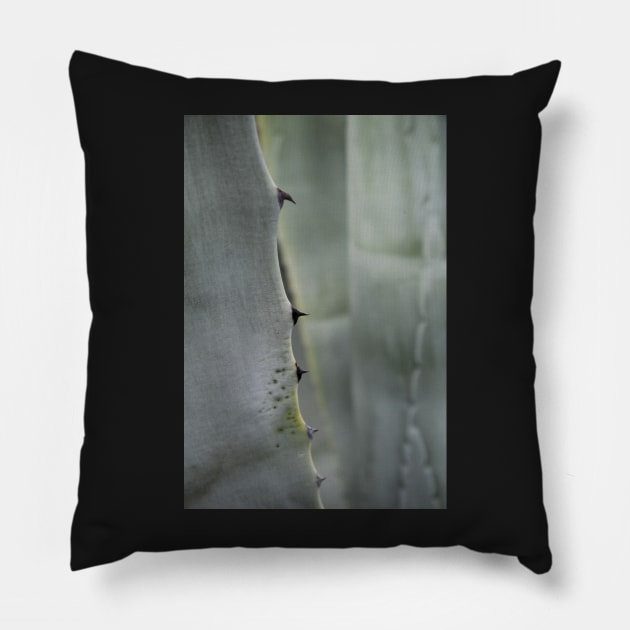 Agave detail Pillow by WesternExposure