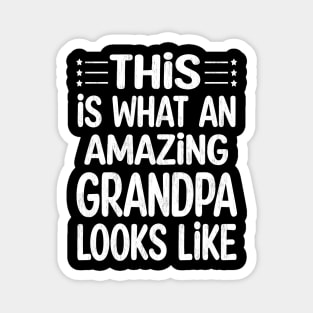 grandpa Fathers day Magnet