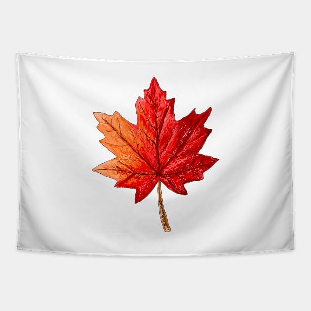 Cool Maple © Tapestry by Cool Collections