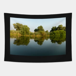 Landscape with waterline, reeds and vegetation, water reflections, in Danube Delta, Romania Tapestry