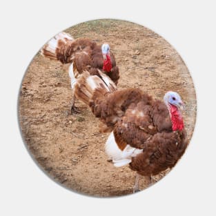 Turkeys Pin