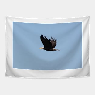 Bald Eagle in Flight Tapestry