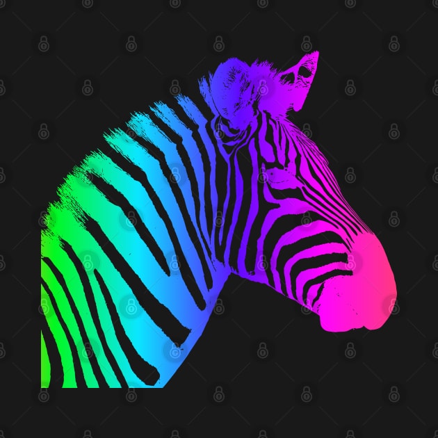 color wheel zebra by JulietLake