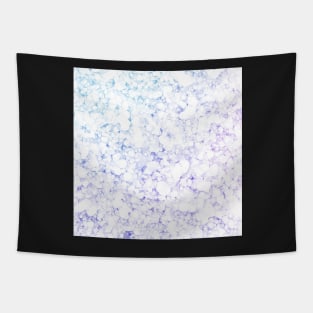 Antarctica Tapestry