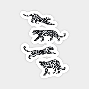 Leopard Shapes Pattern, Black and White, on Grey Magnet