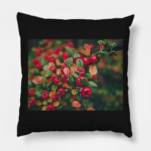 Tiny Winter Berries 2 Pillow