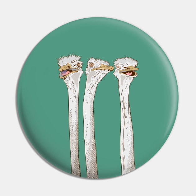 Three ostriches Pin by mailboxdisco