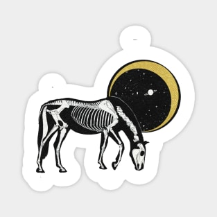 SKELETON HORSE Starry Night Illustrated Design Magnet