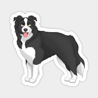 Border Collie Dog Magnet