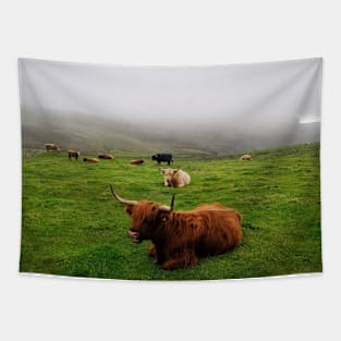 Highland cattle on the misty coast of Islay, Scotland Tapestry