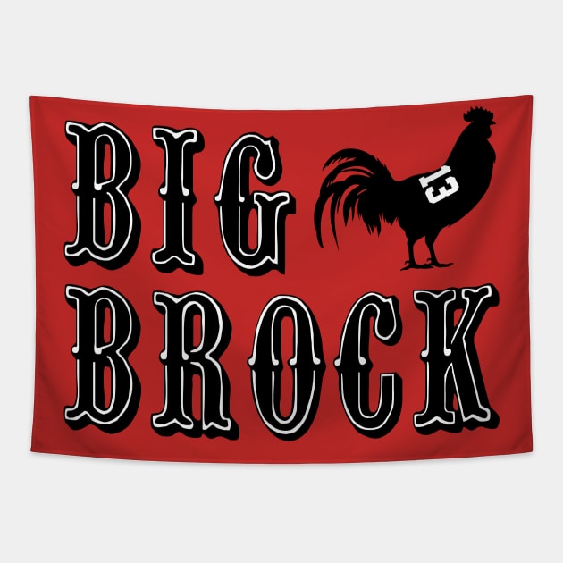 Big C* Brock Tapestry by rattraptees