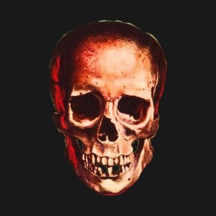 Skull T-Shirt