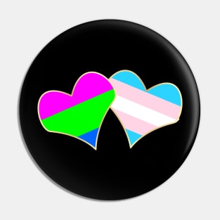 Gender and Sexuality Pin