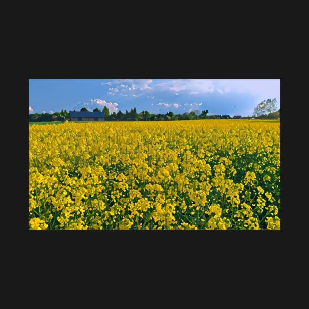 Rapeseed field by Koder's