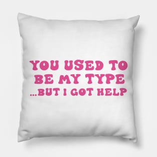 You Used To Be My Type But I Got Help Pillow