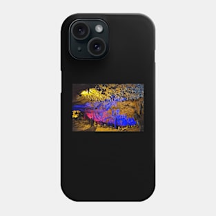 Florida Caverns Phone Case