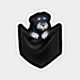 Miniature Schnauzer inside Pocket, Dog Lover Magnet