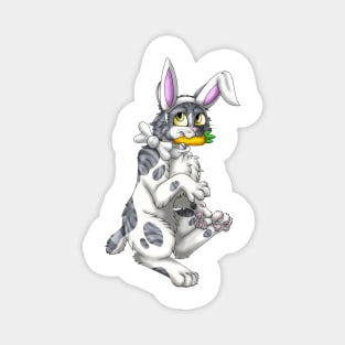 Bobtail BunnyCat: Grey Bicolor Tabby (White) Magnet