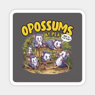 Opossums at play Magnet