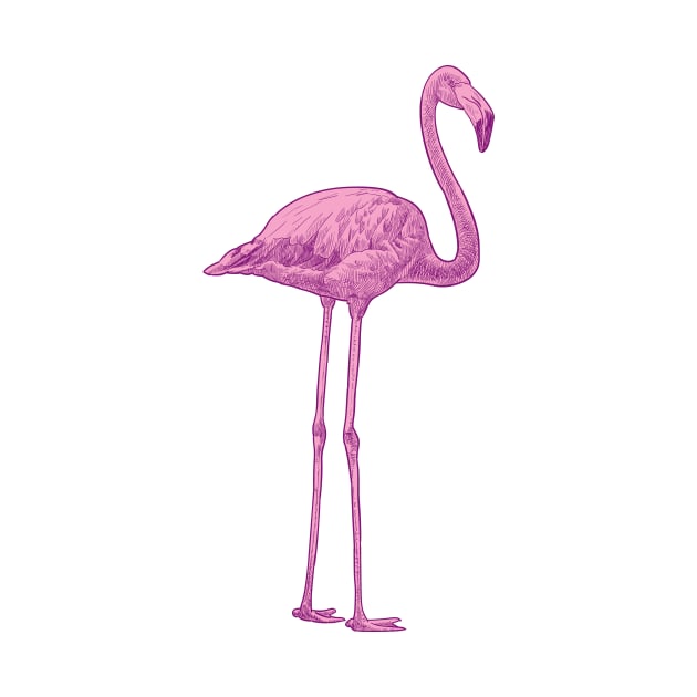 Pink flamingo by StefanAlfonso