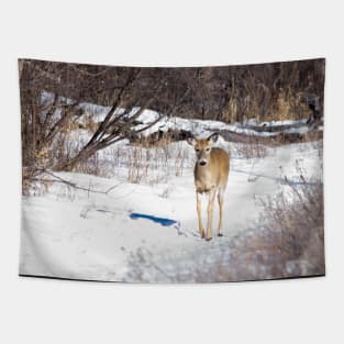 White Tailed Deer. Tapestry