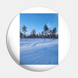 Lapland Pin