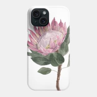 Pink Protea Flower Watercolour Painting Phone Case