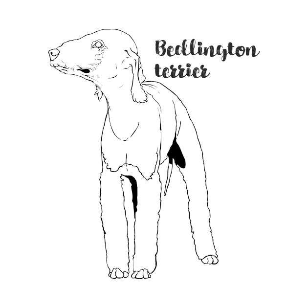 Bedlington terrier by eRDe