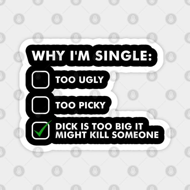 Reasons why I'm single Magnet by NotoriousMedia