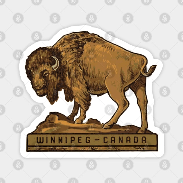 Winnipeg Buffalo Magnet by Midcenturydave