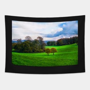 Autumn Countryside Scenery - Field & Trees Tapestry